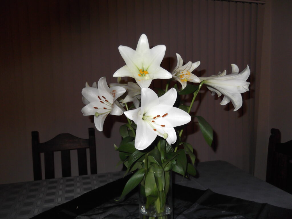 Table Flowers
