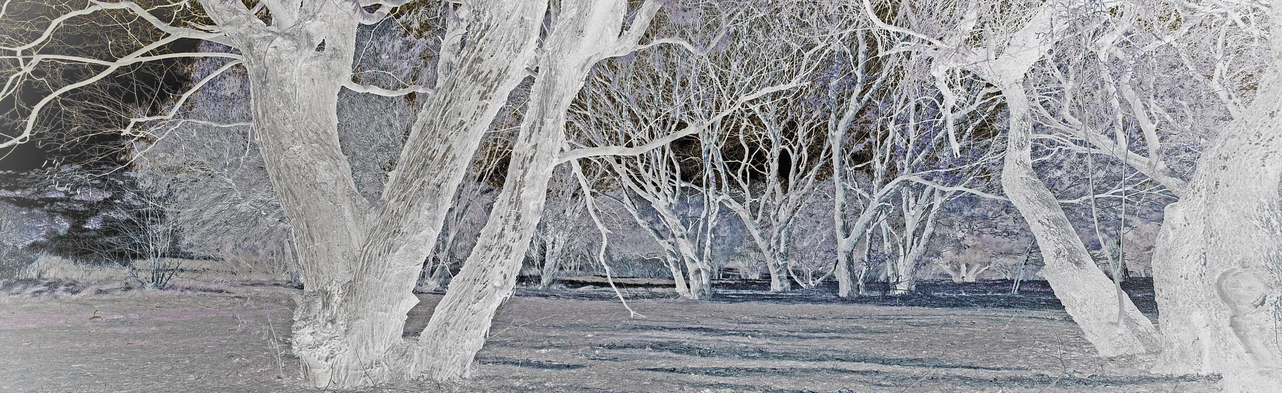 Happy Valley | Bloemfontein