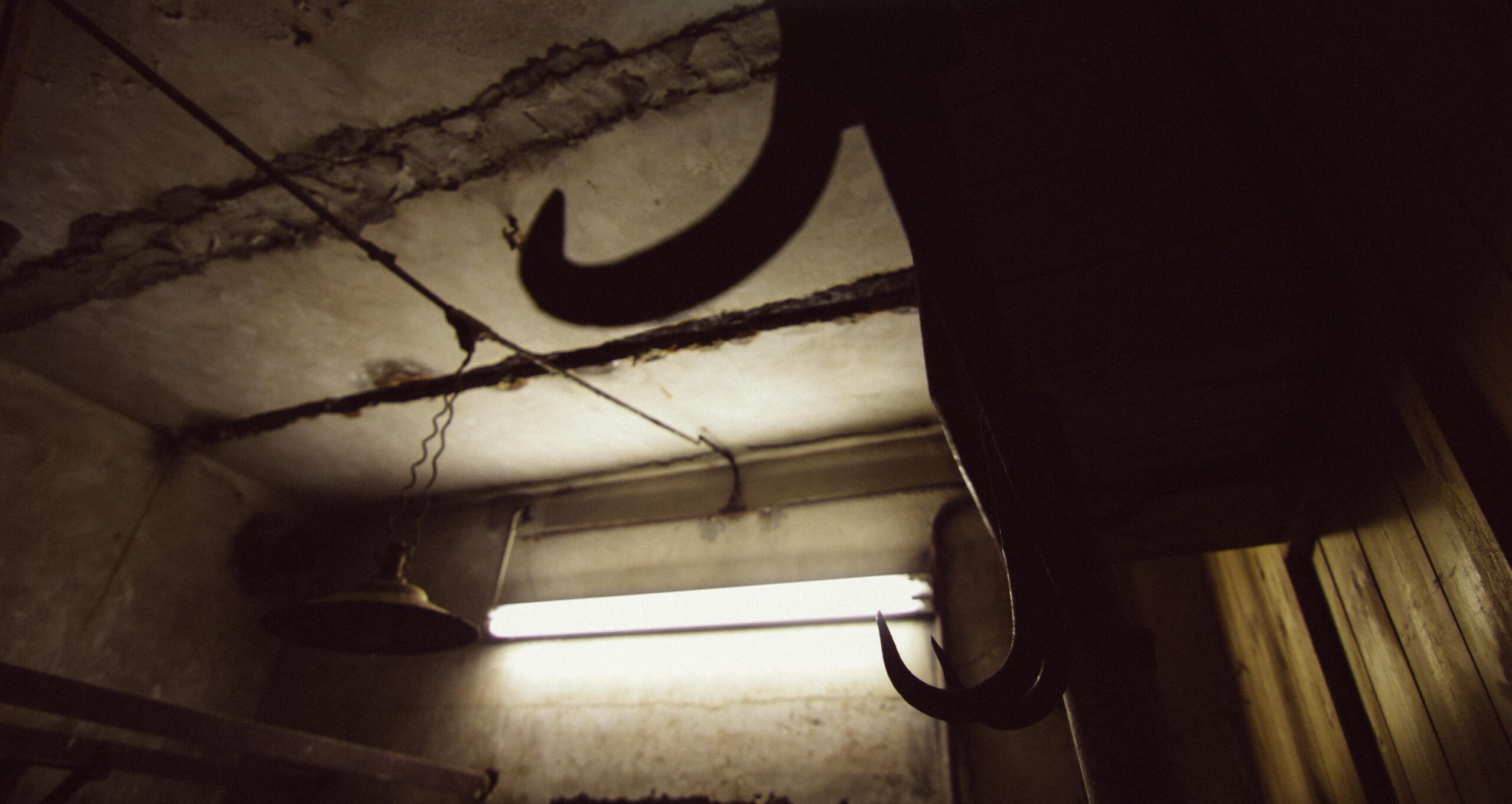 Deep in the basement