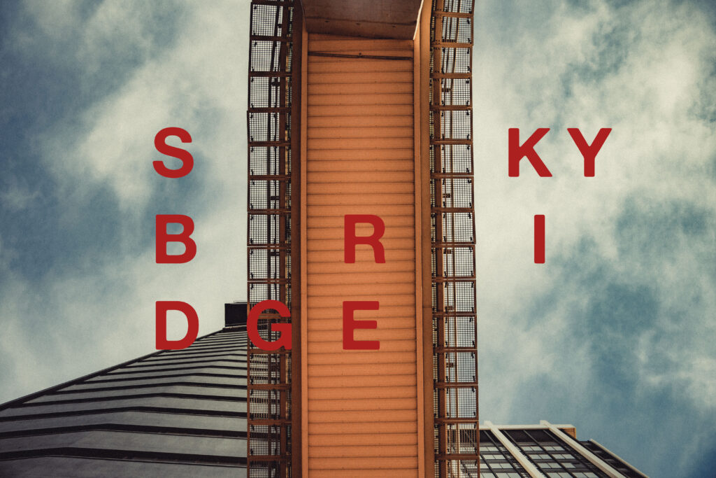 SkyBRIDGE X