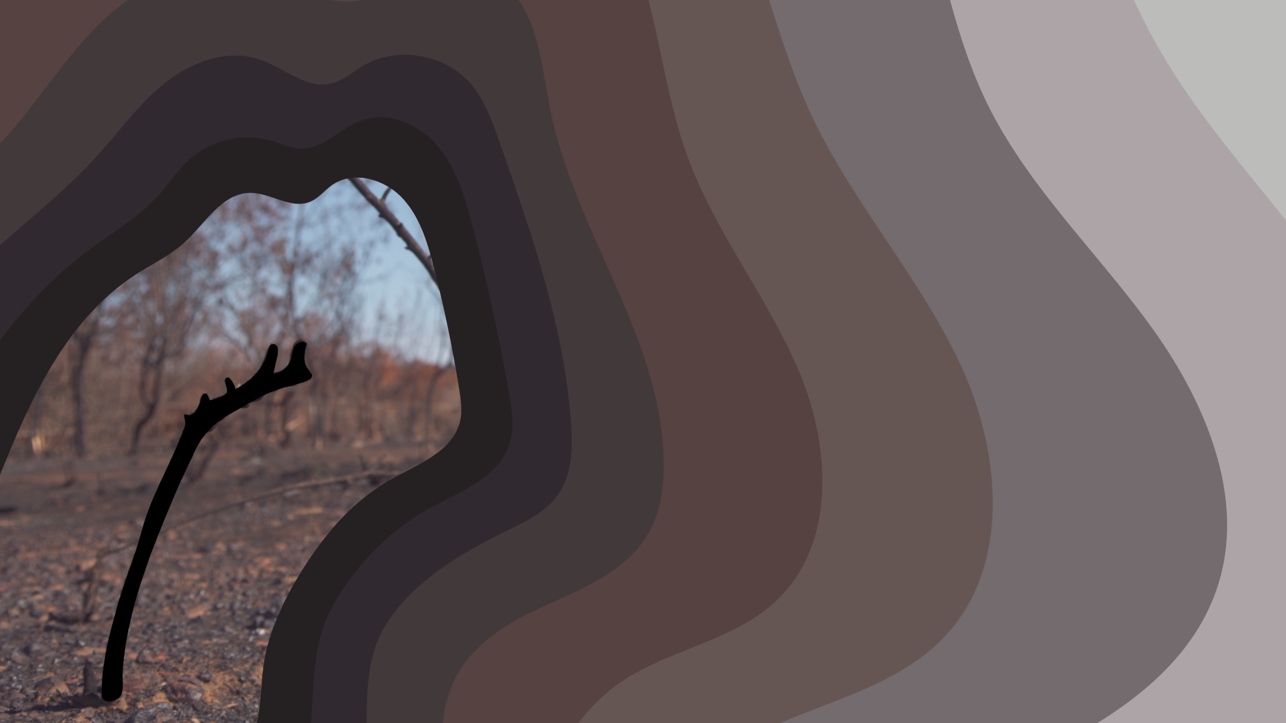 Frequency | Burnt Stick in Ground