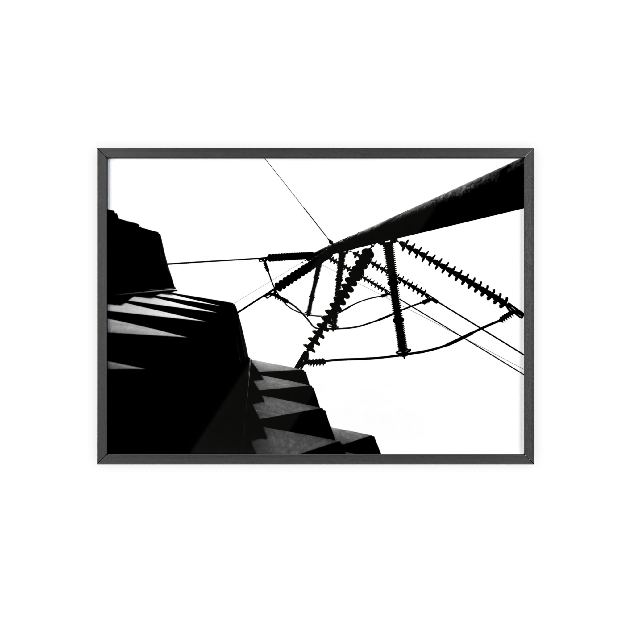 17371923899289975305_2048.jpeg
