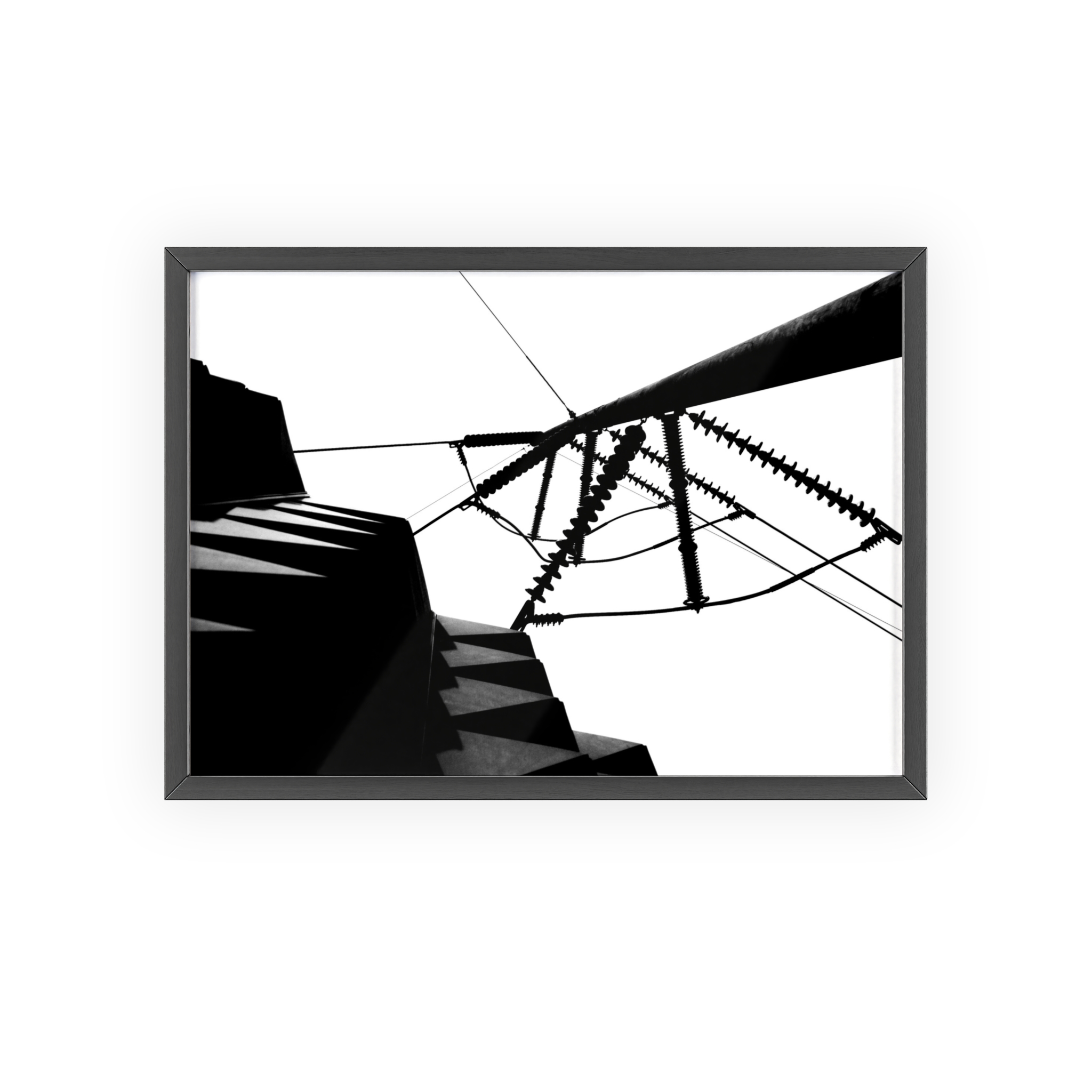 7168635213285483766_2048.jpeg