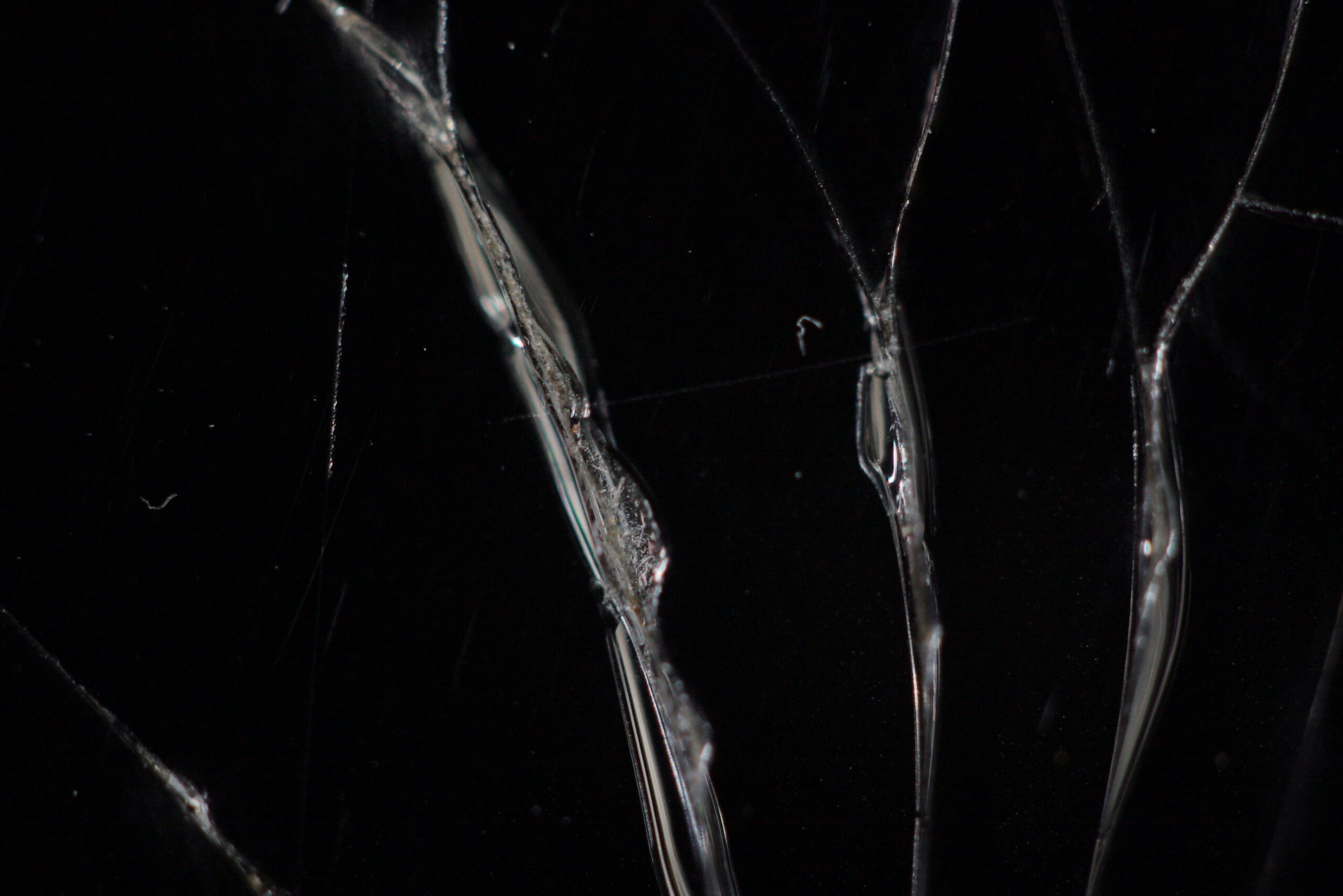 Macro Cracked Screen